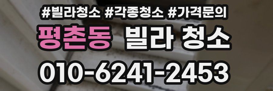 평촌동 빌라 청소