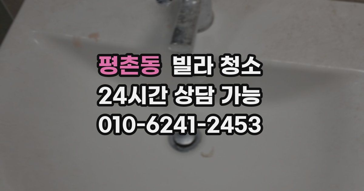 평촌동 빌라 청소