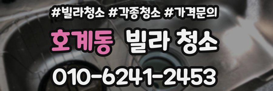 호계동 빌라 청소