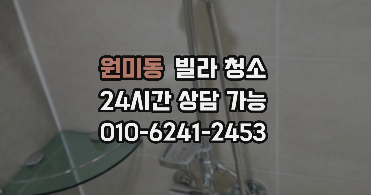 원미동 빌라 청소