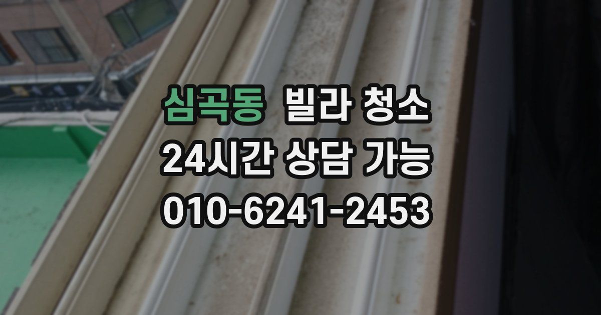 심곡동 빌라 청소