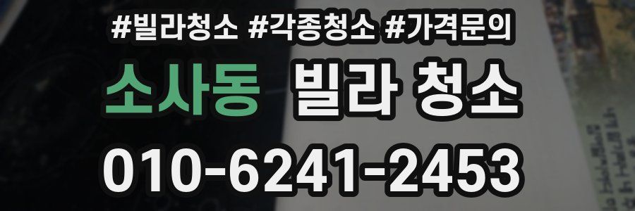 소사동 빌라 청소