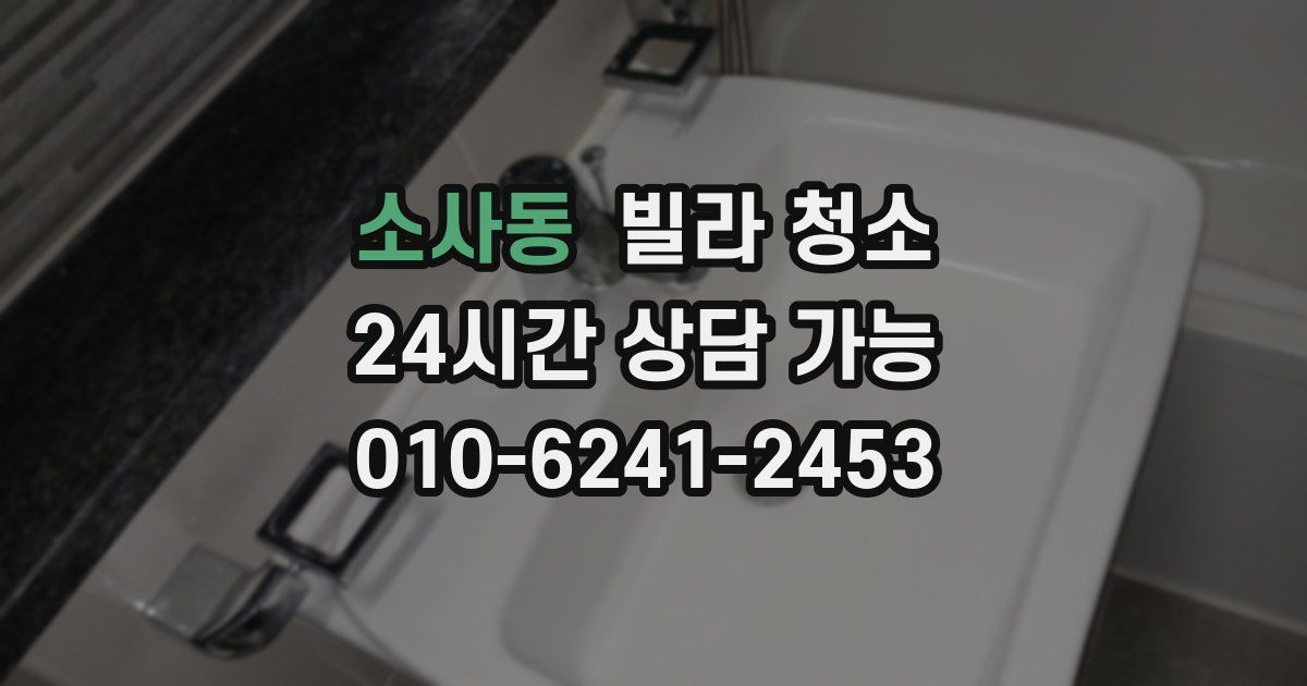 소사동 빌라 청소