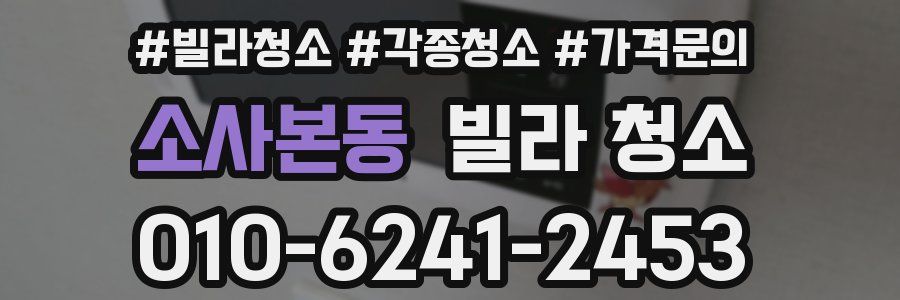 소사본동 빌라 청소