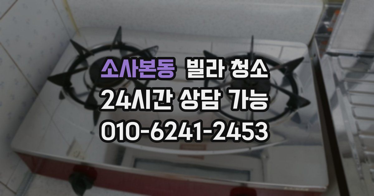 소사본동 빌라 청소