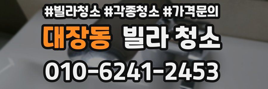 대장동 빌라 청소