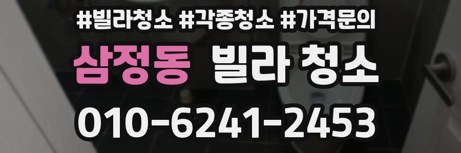 삼정동 빌라 청소