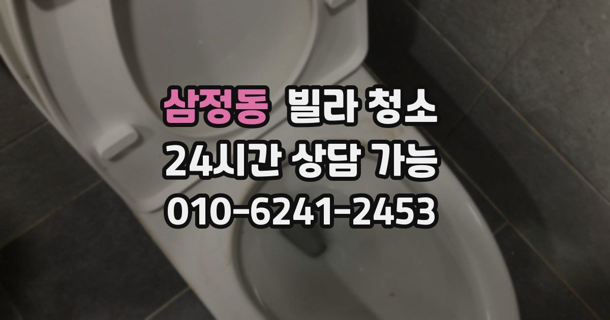 삼정동 빌라 청소