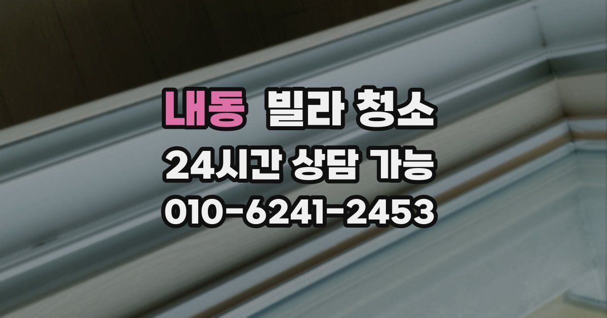 내동 빌라 청소