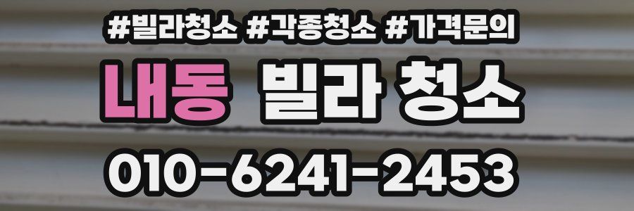 내동 빌라 청소