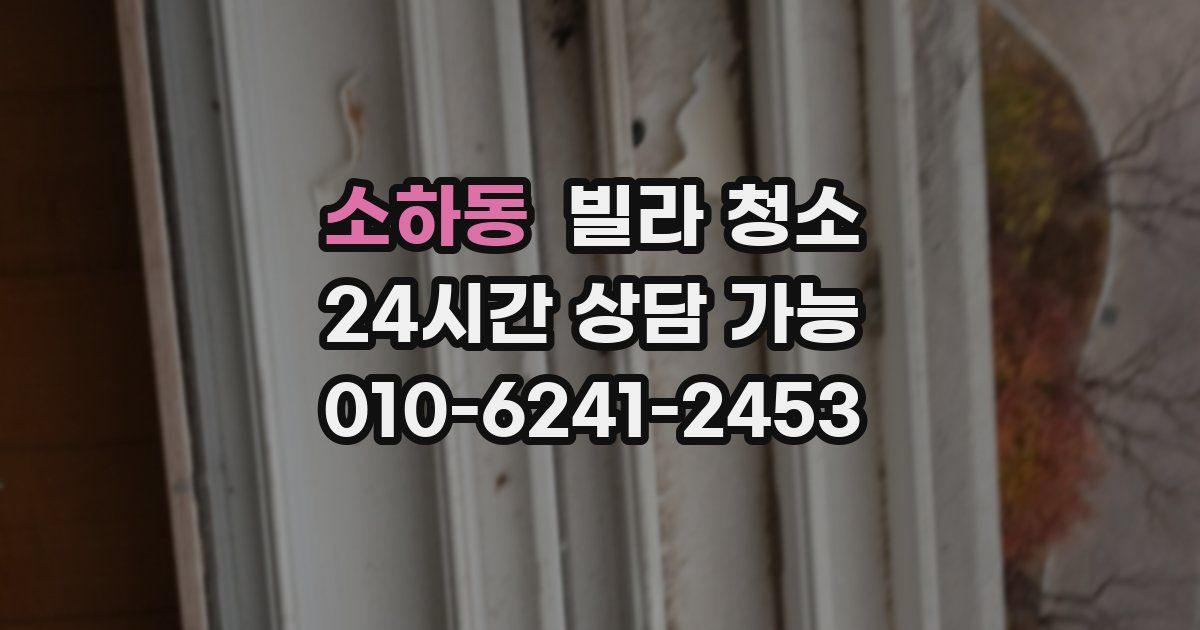 소하동 빌라 청소