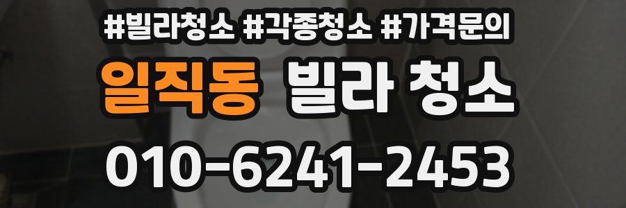 일직동 빌라 청소