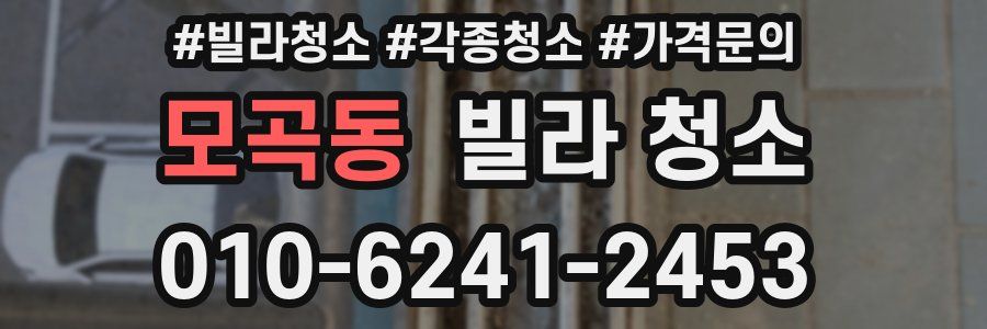 모곡동 빌라 청소