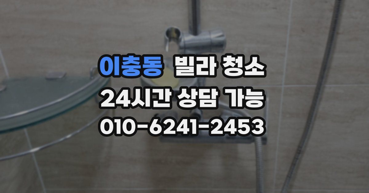 이충동 빌라 청소