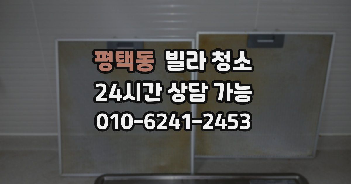 평택동 빌라 청소