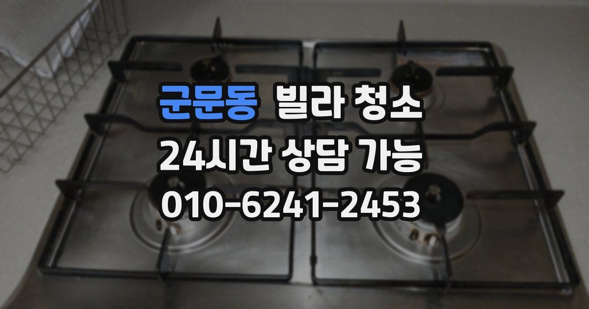 군문동 빌라 청소