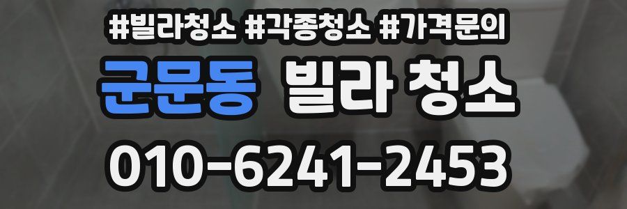 군문동 빌라 청소