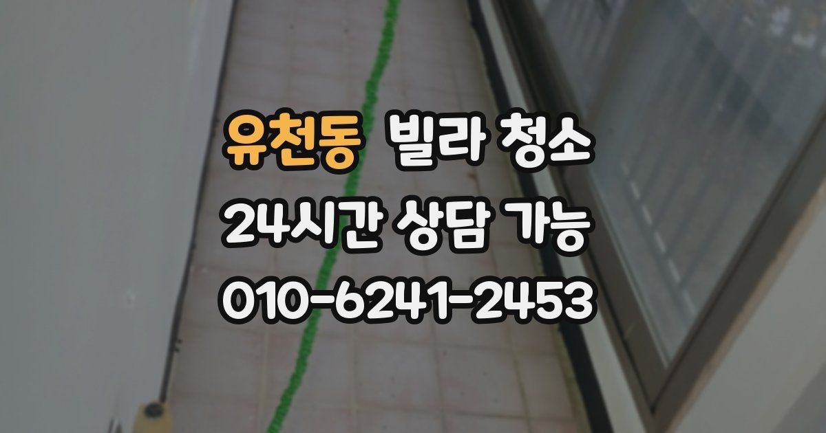유천동 빌라 청소
