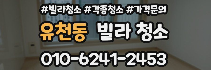 유천동 빌라 청소