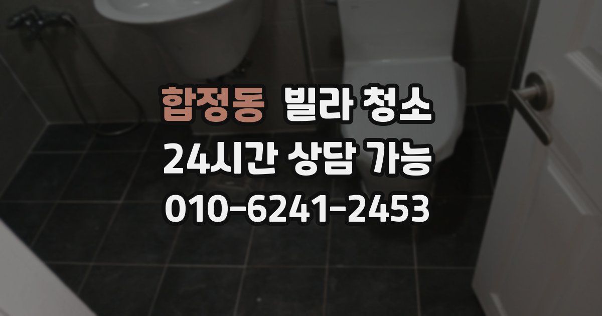 합정동 빌라 청소