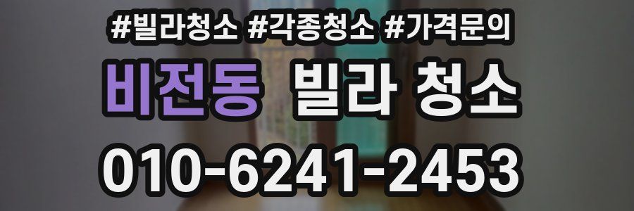 비전동 빌라 청소