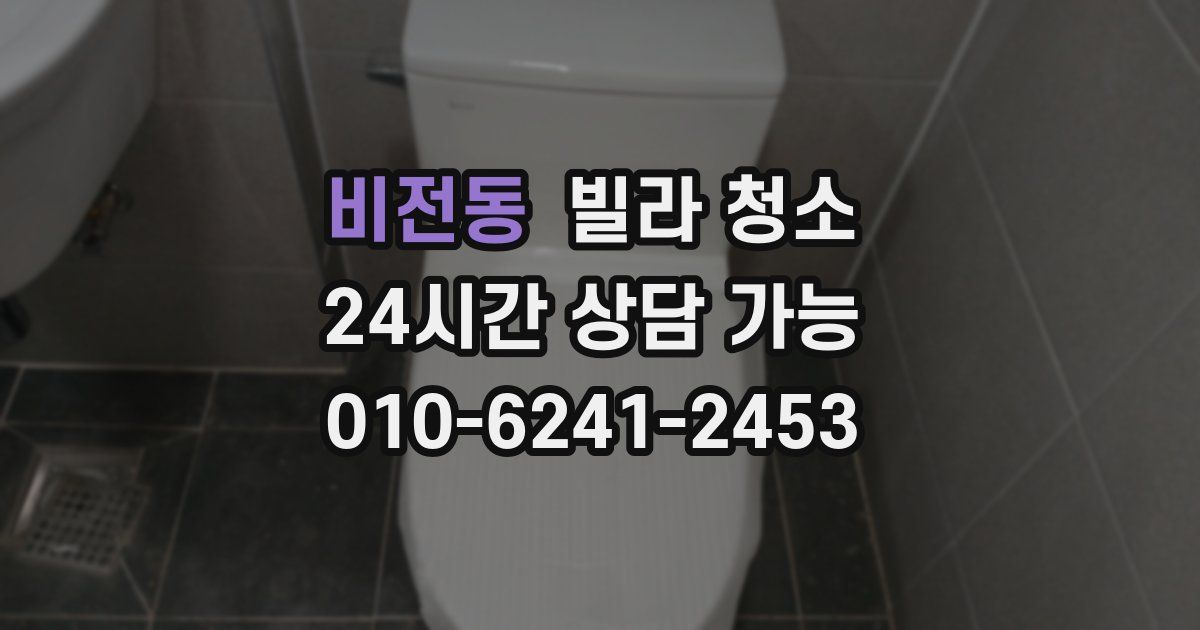 비전동 빌라 청소