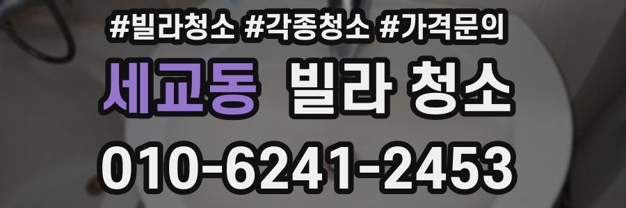 세교동 빌라 청소