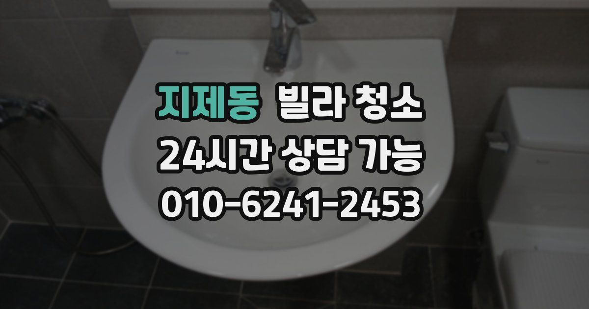 지제동 빌라 청소