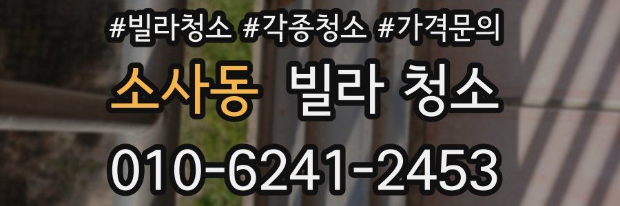 소사동 빌라 청소