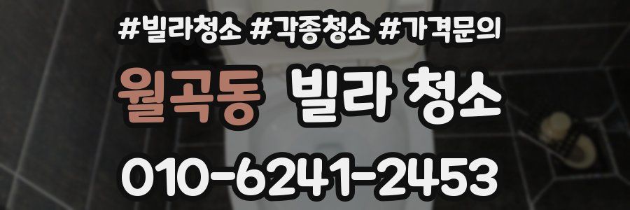 월곡동 빌라 청소
