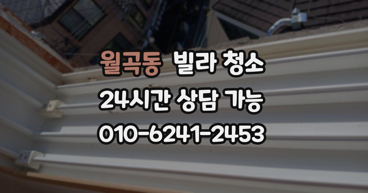 월곡동 빌라 청소