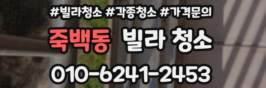 죽백동 빌라 청소