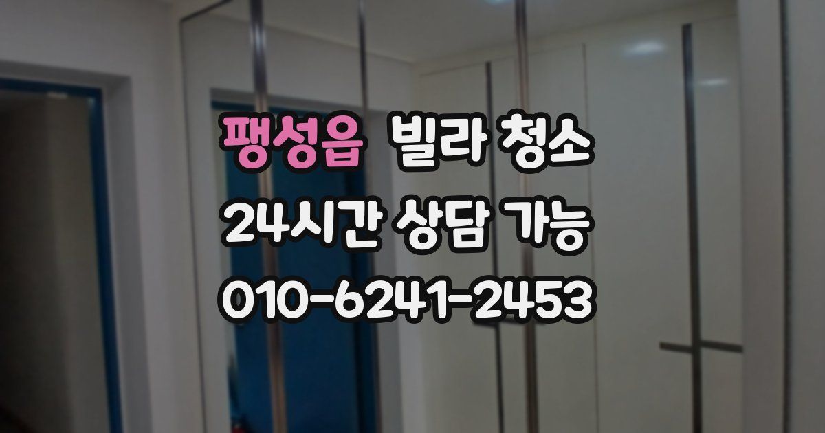 팽성읍 빌라 청소