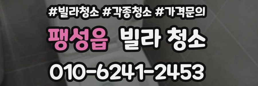 팽성읍 빌라 청소