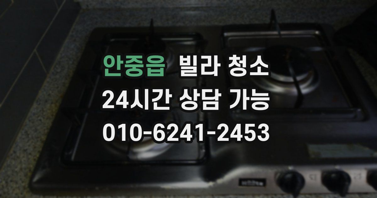안중읍 빌라 청소