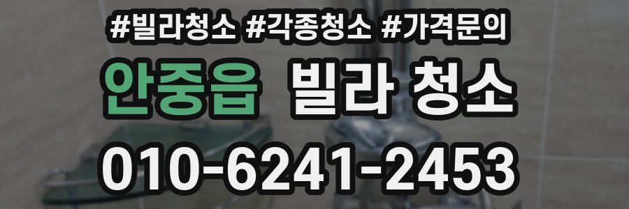 안중읍 빌라 청소