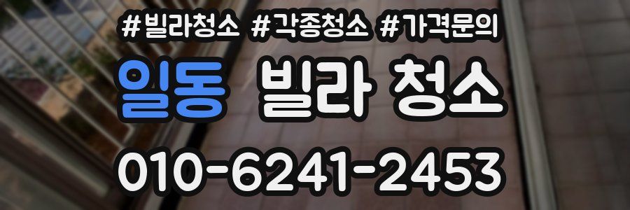 일동 빌라 청소