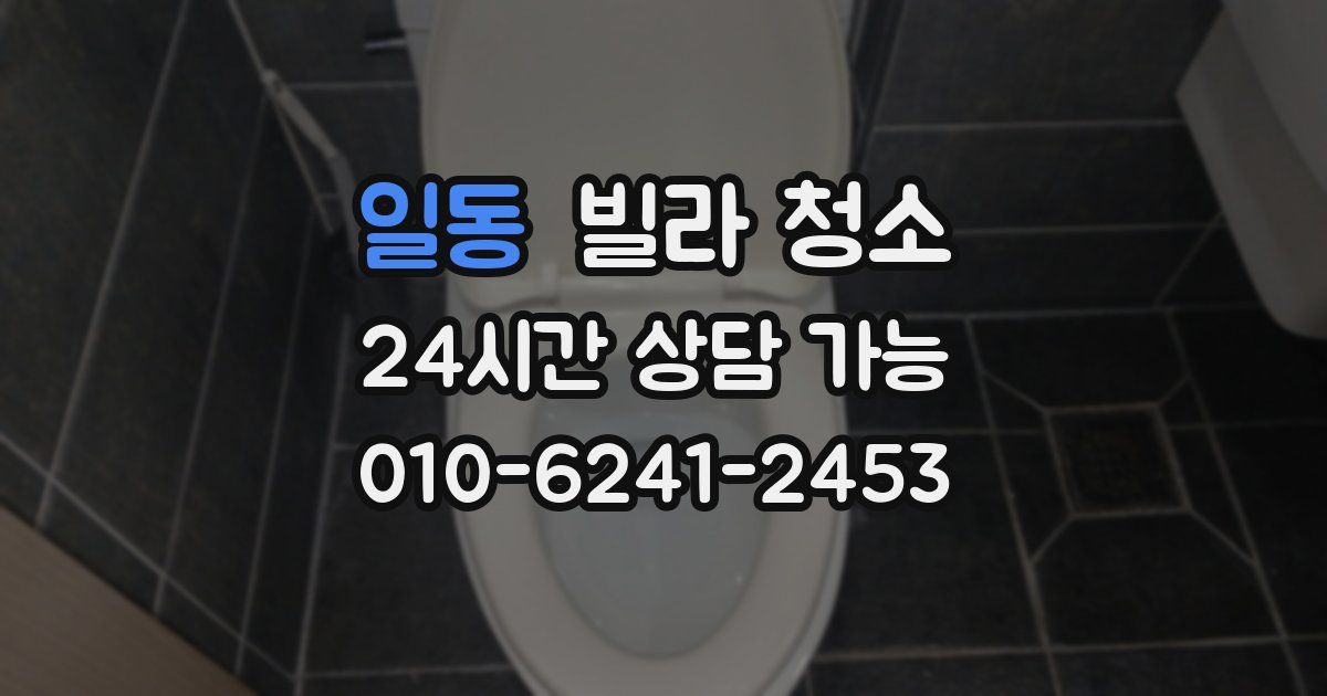 일동 빌라 청소