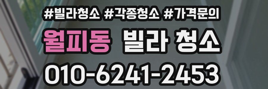 월피동 빌라 청소