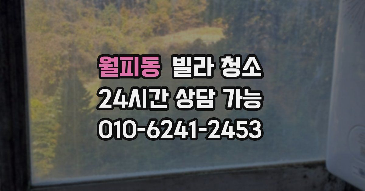 월피동 빌라 청소