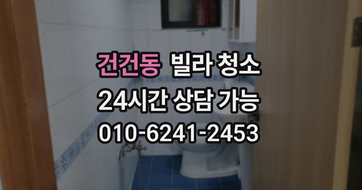 건건동 빌라 청소