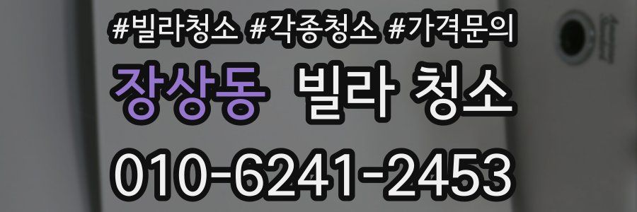 장상동 빌라 청소