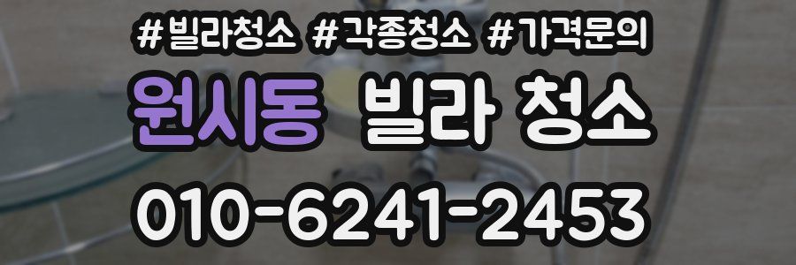 원시동 빌라 청소