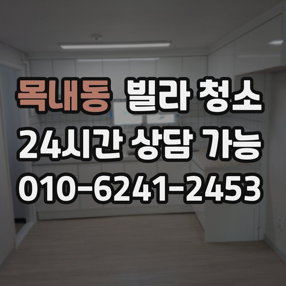 목내동 빌라 청소