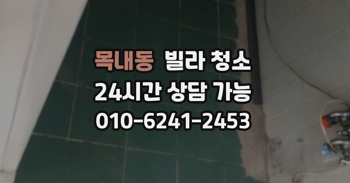 목내동 빌라 청소