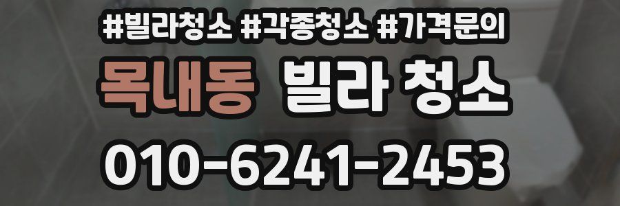 목내동 빌라 청소