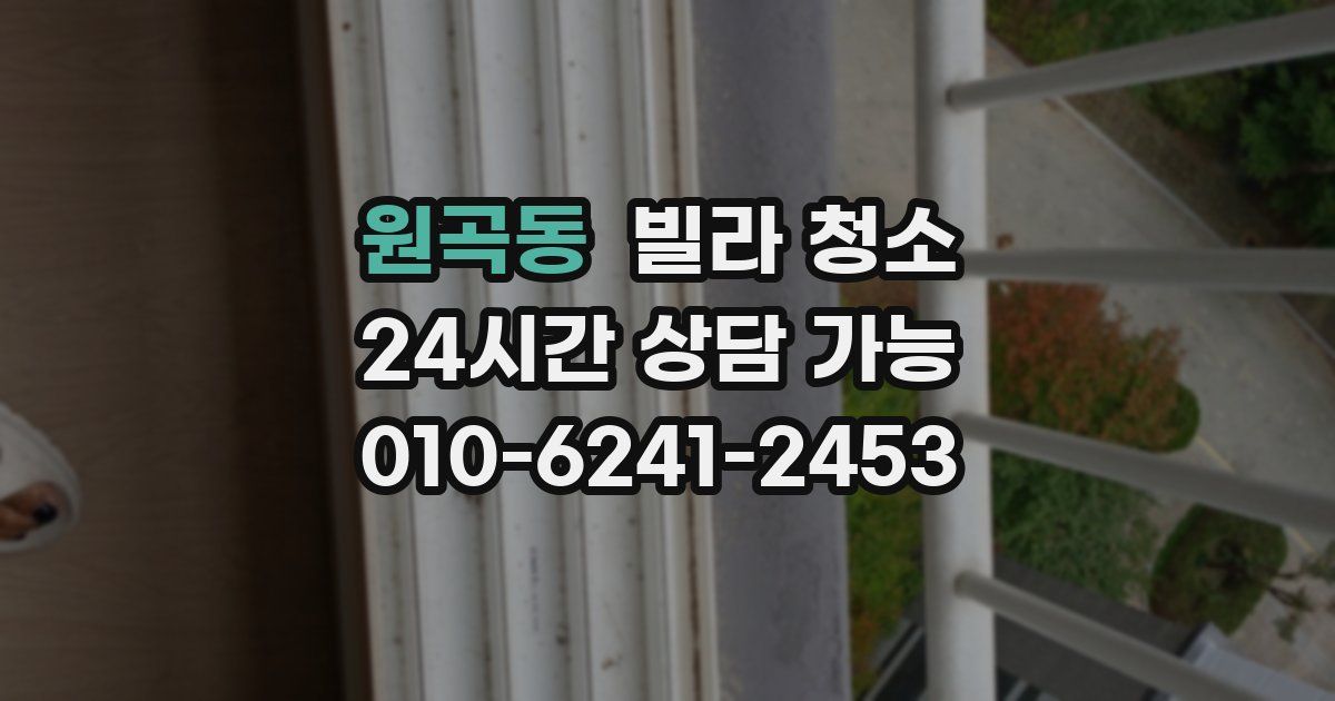 원곡동 빌라 청소