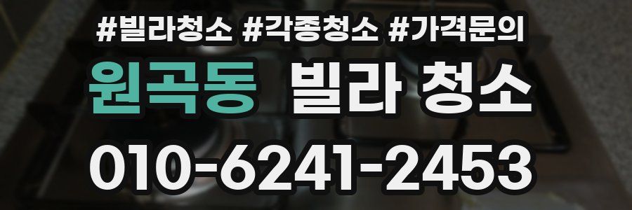 원곡동 빌라 청소