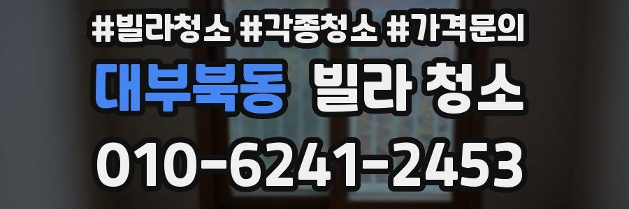 대부북동 빌라 청소