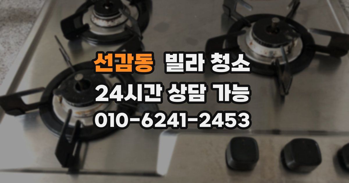 선감동 빌라 청소